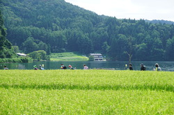 DSC01242.JPG