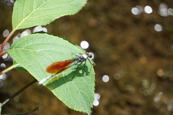 DSC03013.JPG