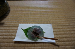 DSC03093.JPG