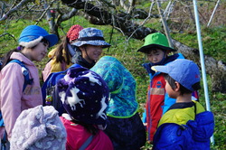 DSC06482.JPG