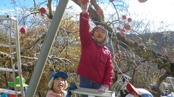 DSC07687.JPG