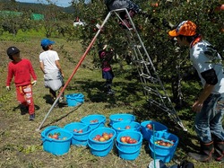 DSCN0875.jpg