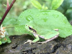 IMG_6464.JPG