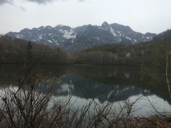 IMG_8500.JPG