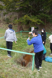 IMG_9856.JPG