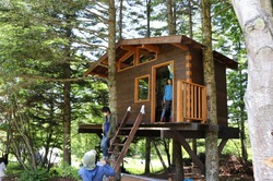 thumb_IMG_2794_1024.jpg