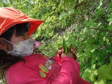 DSCF6982.JPG