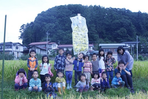 ブログ用 かかしたて黄色.jpg