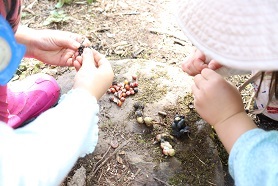 IMG_2248.JPG