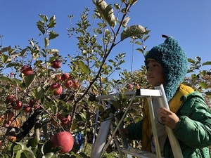 IMG_4317.jpg