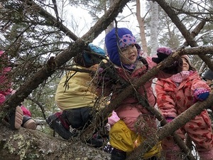 IMG_4650.JPG