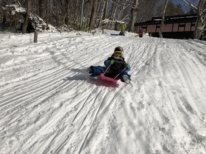 IMG_5025.JPG