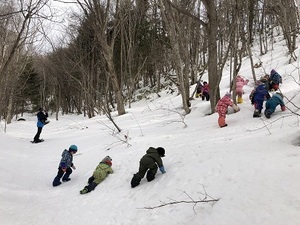 IMG_6331.JPG