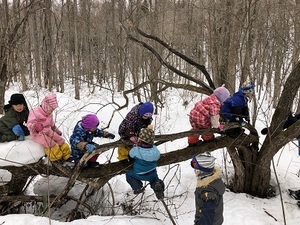 IMG_6340.JPG