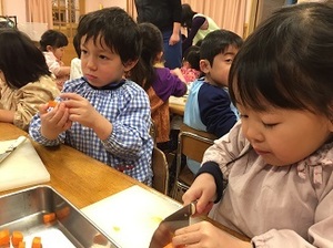 IMG_8477.jpg