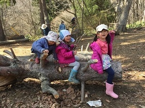 IMG_9176.jpg