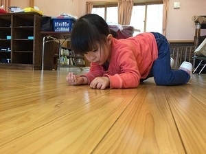 IMG_9428.jpg
