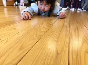 IMG_9441.jpg