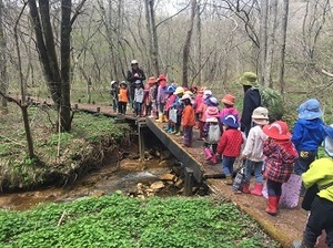 IMG_9609.jpg