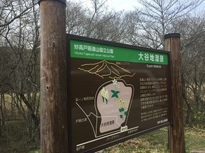 IMG_9631.jpg