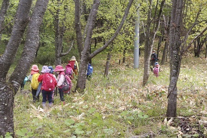 _MG_6538.JPG