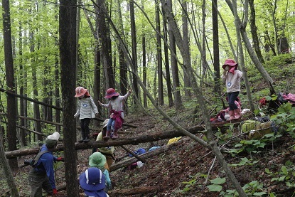_MG_6564.JPG