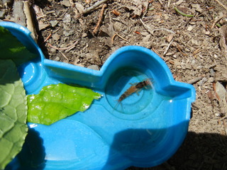 DSCN7581.JPG