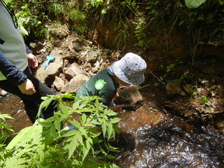 DSCN7586.
JPG