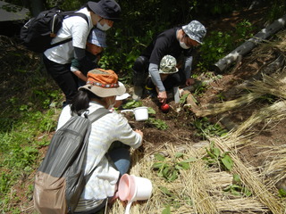 DSCN7589.JPG