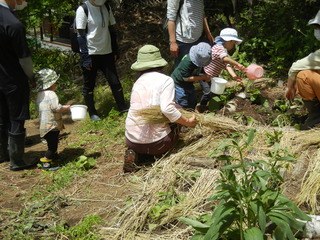 DSCN7592.JPG