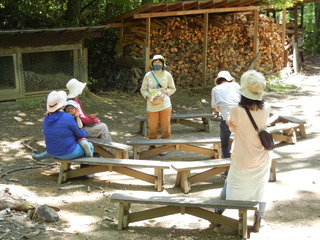 DSCN7734.JPG
