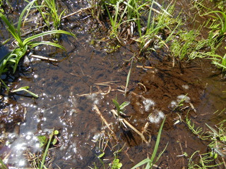 DSCN9065.JPG