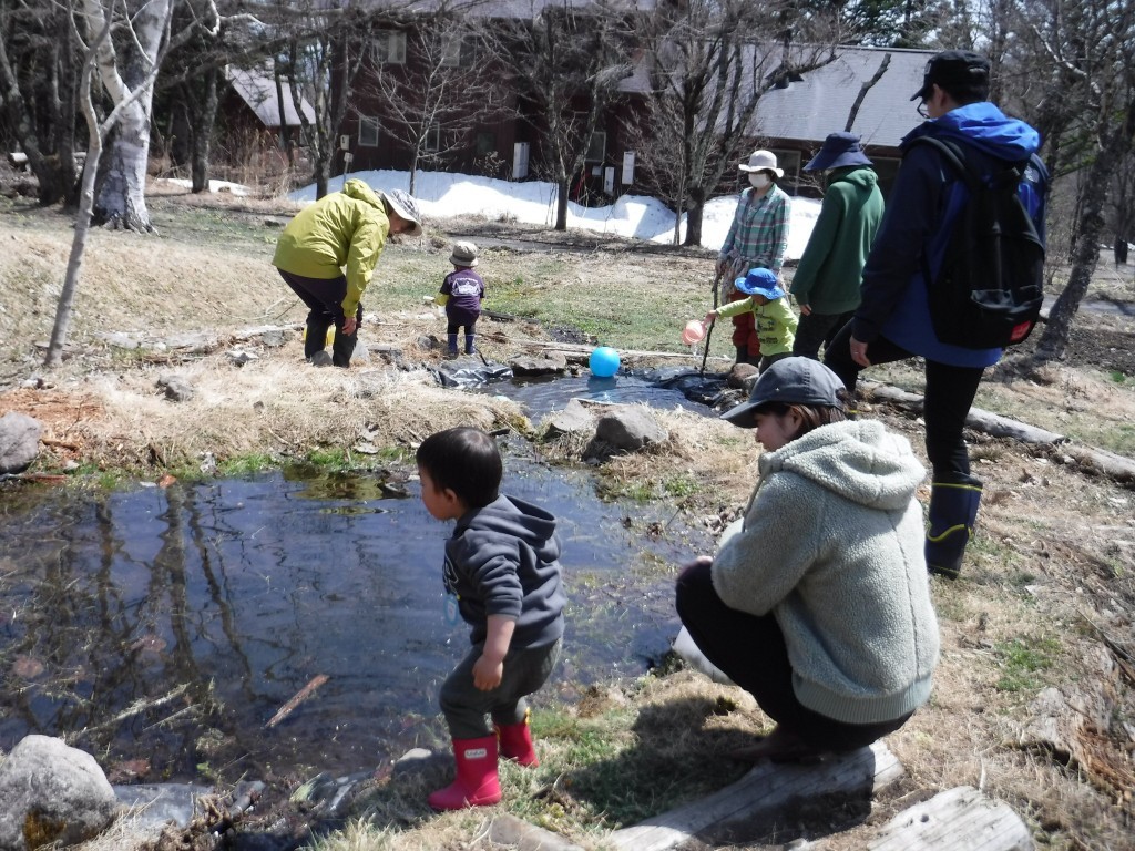 池の回り.jpg