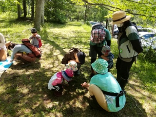 IMG_20200616_100126.jpg
