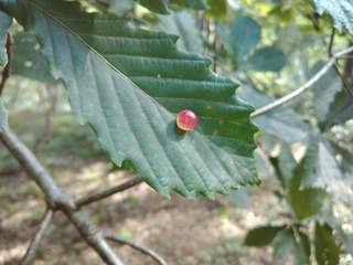 IMG_20210829_144622.jpg